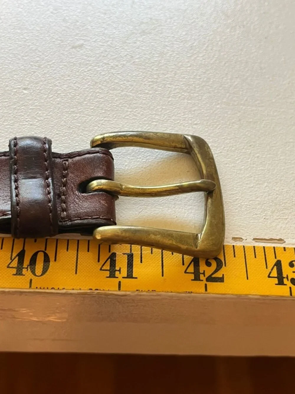 Fossil great pre